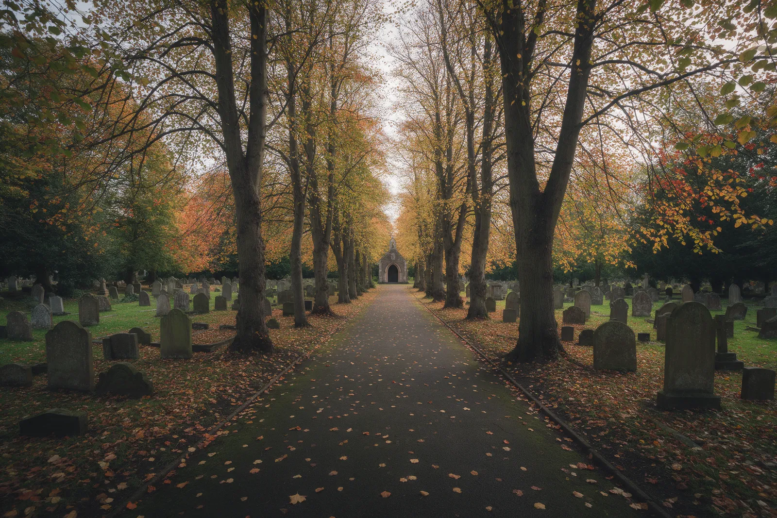 A tree-lined path through a peaceful cemetery with old headstones and a chapel in the distance, autumn leaves on the ground