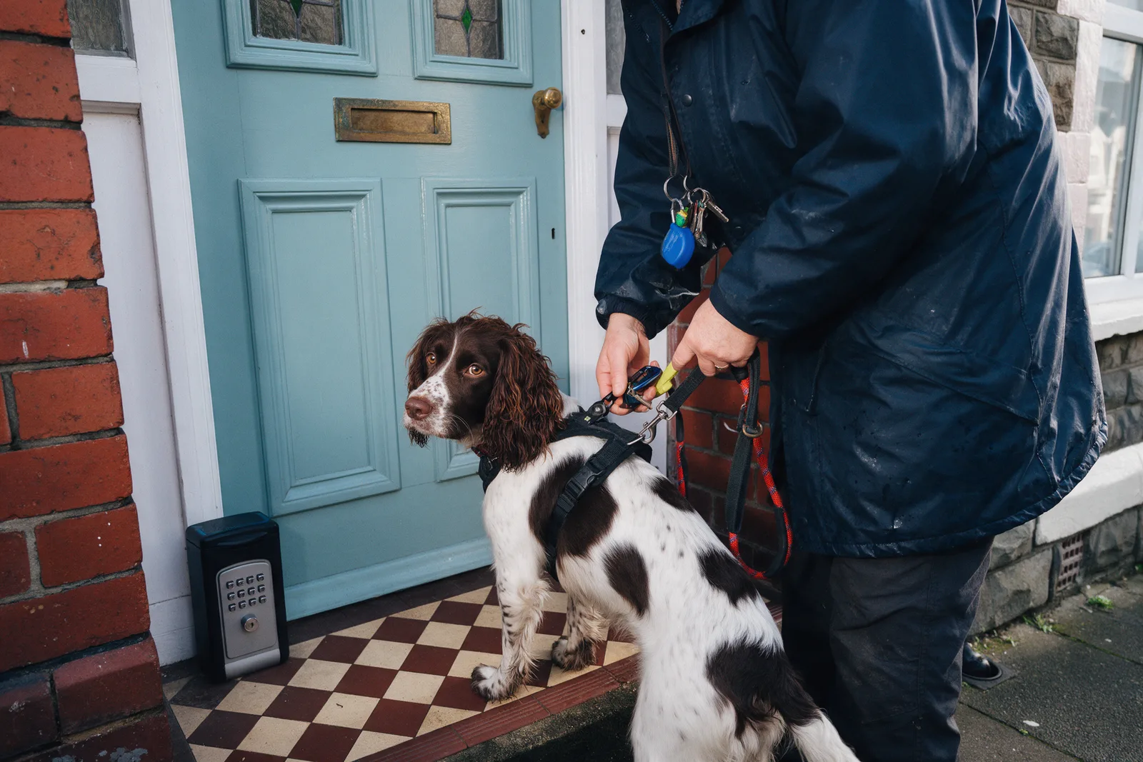 A dog walker clipping a lead onto a spaniel's harness on the tiled step of a Victorian terraced house with a key safe beside the door